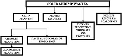 Establishment of the colloidal chitin enzymatic hydrolysis conditions to obtain N-acetyl glucosamine